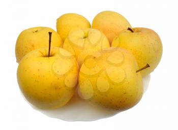 Yellow apples on a white plate on a white background, isolated