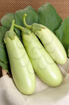 Royalty Free Photo of Green Eggplants