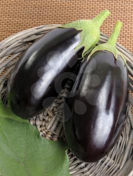 Royalty Free Photo of Two Eggplants in a Basket