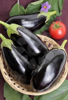 Royalty Free Photo of Eggplants and a Tomato