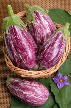 Royalty Free Photo of Striped Eggplants in a Basket