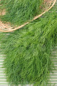Royalty Free Photo of Dill
