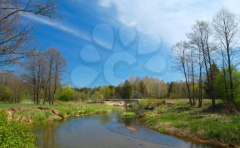 Royalty Free Photo of the Isloch River in a Belarus Forest