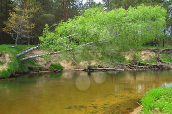 Royalty Free Photo of a Small River