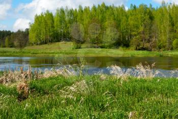 Royalty Free Photo of a River by a Forest