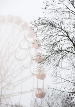 Autumn mist in a city park, the trees and the Ferris wheel.