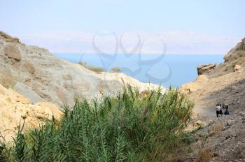 Ein Gedi Nature Reserve on the coast of the Dead Sea