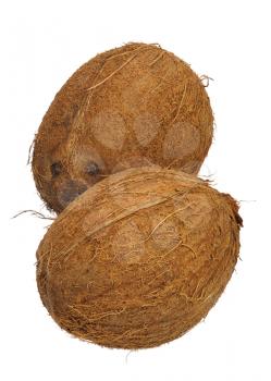 A coconut, isolated on a white background.