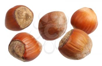Several of hazelnuts on a white background, isolated