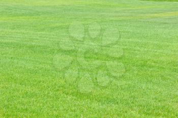 Flat trimmed lawns, the texture of green grass.