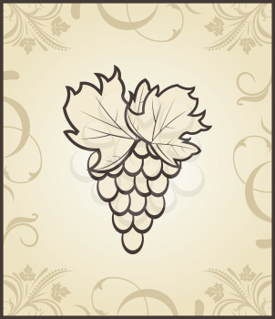 Illustration retro engraving of grapevine - vector