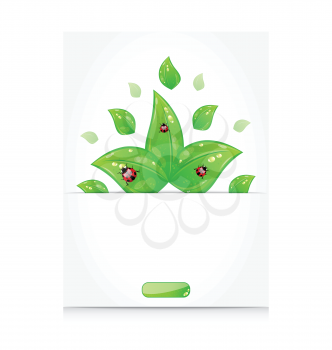 Illustration leaves with ladybugs sticking out of the cut paper - vector