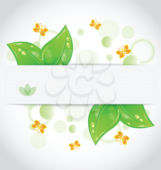 Illustration eco green leaves with with butterfly isolated on white background - vector