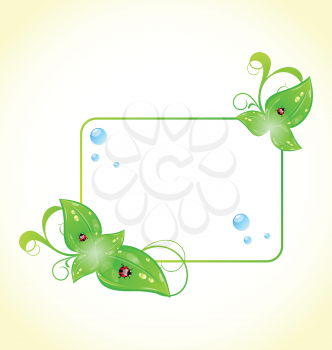Illustration eco friendly frame with green leaves and ladybugs - vector