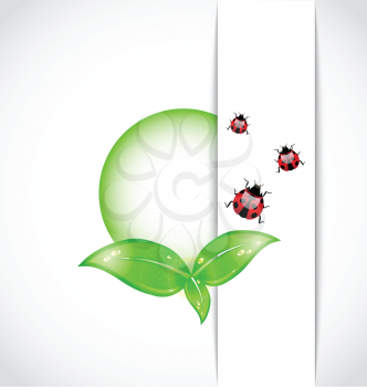 Illustration ecological background with bubble, green leaves, ladybugs - vector