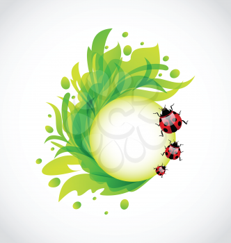 Illustration eco floral transparent background with ladybugs - vector