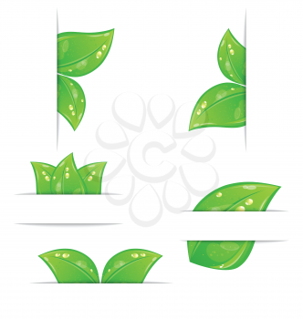 Illustration set of green ecological labels with leaves isolated on white background - vector