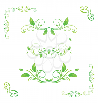 Illustration set green floral elements with eco leaves isolated (2) - vector