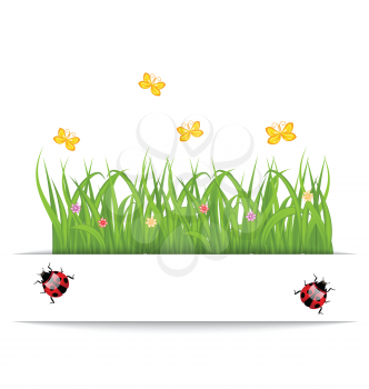 Illustration spring card with grass, flower, butterfly, ladybug - vector