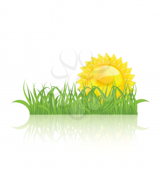 Illustration meadow with green grass and yellow sun - vector