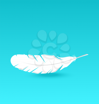 Illustration white feather falling - vector