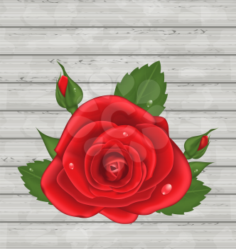 Illustration close-up red rose for Valentine Day on wooden background - vector