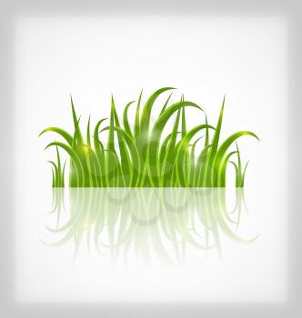 Illustration green grass with reflection, isolated on white background - vector