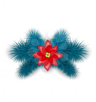 Illustration Christmas composition with blue fir twigs and flower poinsettia, isolated on white background - vector