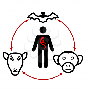 Illustration Ebola virus circulation in nature and the way of transmission to humans - vector