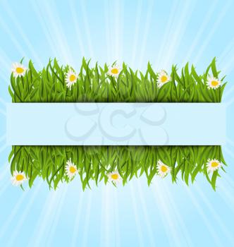 Illustration spring postcard with grass field and flowers chamomiles, copy space for your text - vector