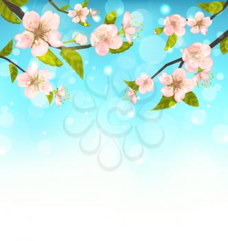 Beautiful Cherry Blossom, Branches of Tree, Natural Glowing Background - Vector