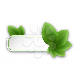Illustration eco friendly banner with green leaves - vector