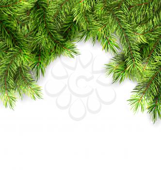 Illustration Natural Framework with Fir Twigs, Copy Space for Your Text - Vector