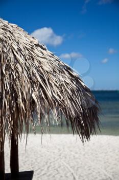 Beach House Roof