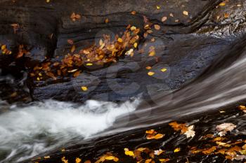 Royalty Free Photo of a Forest Stream in Autumn