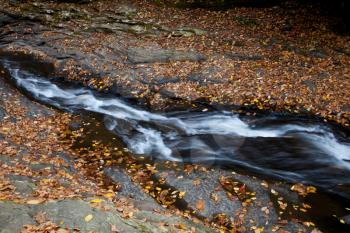 Royalty Free Photo of a Forest Stream in Autumn