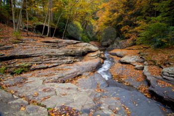 Royalty Free Photo of a Forest Stream in Autumn