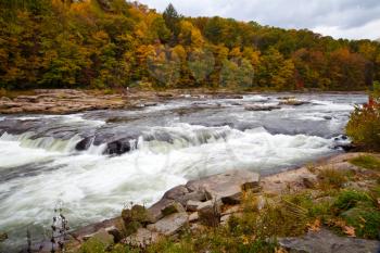 Royalty Free Photo of a Rushing River in an Autumn Forest