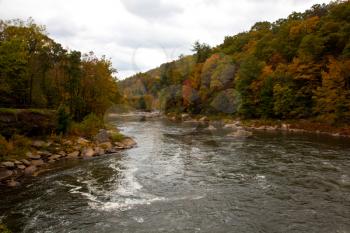 Royalty Free Photo of a River in an Autumn Forest