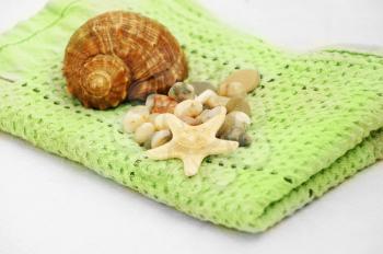 shell, pebbles and sea star on green towel