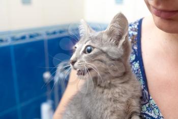 women affectionately hugging  kitten