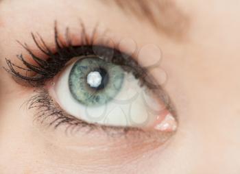 woman eye close up with reflection