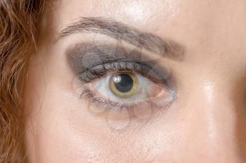 Macro shot of woman's eye with long eyelashes. Sexy looking eye look