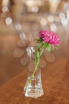 pink flower in the clear glass on the cafee table, one object, nobody