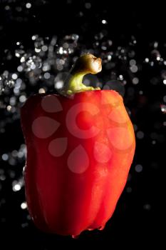 red pepper and water drops on black background