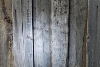 plank old background