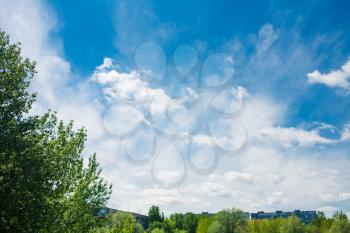 sky and trees