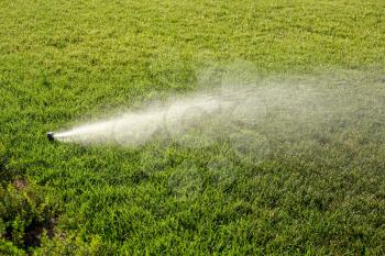 Sprinkler watering new lawn. Sprinkler system working on fresh green grass.