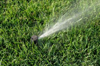 Automatic sprinklers watering grass. Sprinkler system working on fresh green grass