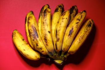 Organic bananas on red background top view. Bunch of bananas is lying on orange background with dark spots marking ripening process.